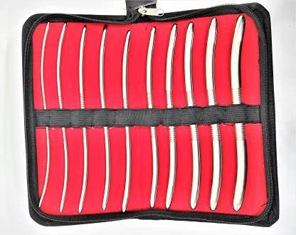 FORGESY DILATOR SET OF 10 STAINLESS STEEL (B084LHD298) Amazon Price History, Amazon Price Tracker