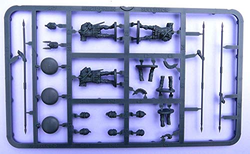 VIC-VXA020 - 28mm Picchieri dei Successori