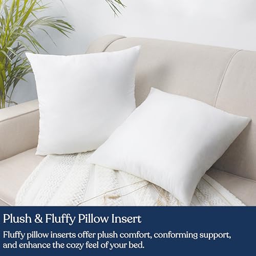 Delara-Premium-Organic-Cotton-Pillow-Insert-Set-of-2-100-White-Duck-Feather-Filling-Down-Proof-Organic-Cotton-Indoor-Throw-Pillows-Insert-for-Couch-Sofa-Bed-28X28 Delara Premium Organic Cotton Pillow Insert Set of 2 100 White Duck Feather Filling Down Proof Organic Cotton Indoor Throw Pillows Insert for Couch Sofa Bed 28X28