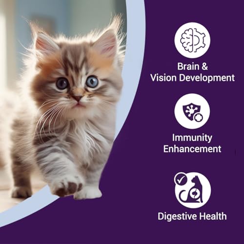Image of Purrfeto Kitten Dry Cat Food | Chicken & Rice | 7 kg | 40% Reduction in Urinary Tract Diseases | Promotes Brain & Vision Development | Enhances Immunity |Improves Digestive Health