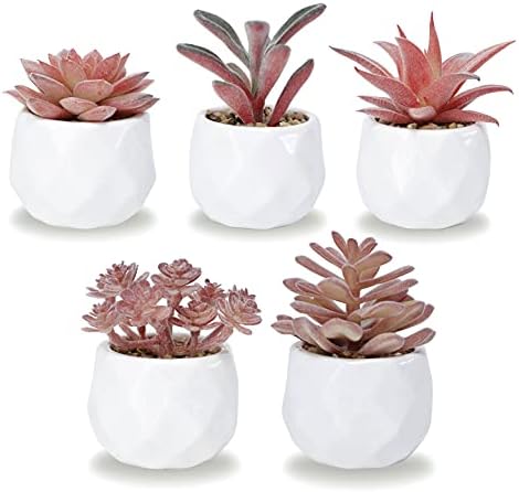 Korvea Set of 5 Artificial Succulent Plants – Pink Mini Assorted Fake Succulents – Small Artificial Plants in Pots for Home Decor Indoor – Fake Plants for Window Sills, Bathroom Decor, Office Spaces…
