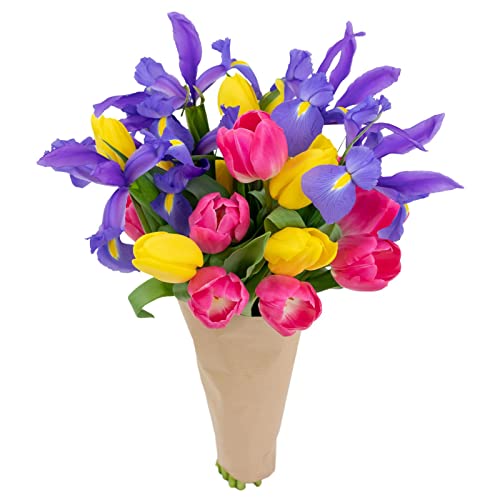 stargazer barn besties bouquet with fresh tulips amp blue iris purple pink yellow fresh flowers 15 count