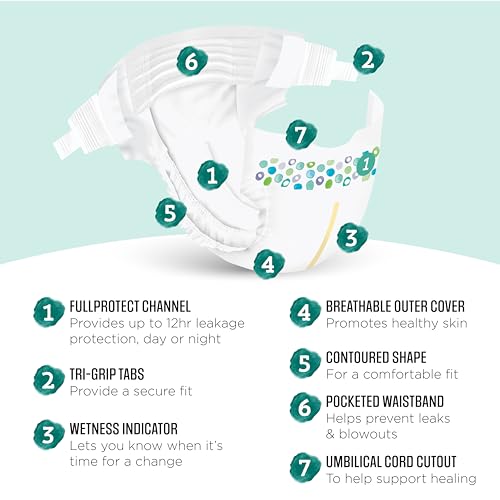 Image of Amazon Brand - Mama Bear Gentle Touch Diapers, Size 1, 200 Count (4 packs of 50)