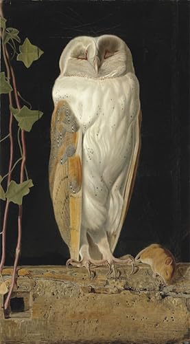 Lienzo de alta calidad Il gufo bianco pintura clásica William Webbe 60x90cm