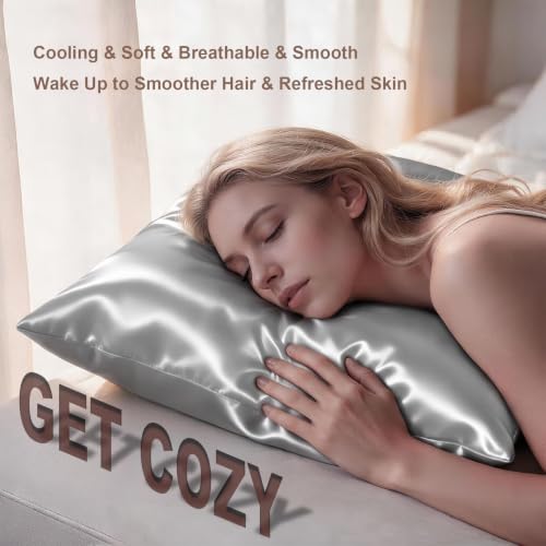Image of LYSHIN Silk Pillow Cases 2 Pack Queen Size with Zipper, Silver Grey | 19 Momme Mulberry Silk Pillowcase for Skin and Hair, Anti-Acne, Hypoallergenic, Cooling, Beauty Sleep, Gifts for Women
