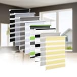 Eurohome Klemmfix Double Roller Blind, No Drilling Required, Duo Roller Blind, 45 cm x 130 cm (Fabric Width 41 cm), Transparent and Opaque Privacy Screen