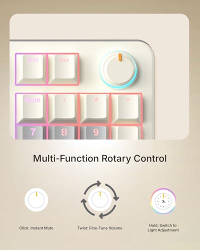 Image of RAEGR MechGear X100 Mechanical Gaming Keyboard, 98 Keys Compact Full Size, Rainbow Backlit, Hot-Swappable Switches, Multi-Function Volume Knob with Detachable Cable - RG10597 Retro White /Grey