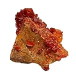  Vanadinite sur barytine Maroc Pierre minérale fossile de guérison cristal fossiles