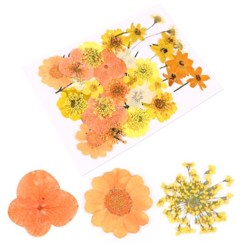 Kit de 40 flores secas prensadas naturales Lurrose miniatura 1