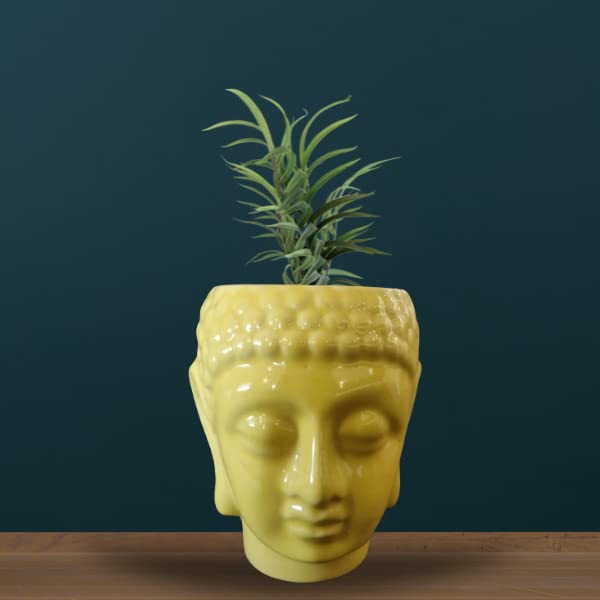 SHAVI DE Small Buddha Ceramic planters, Table Pinnacle Indoor Planter