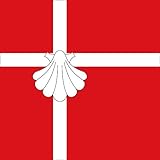 magFlags