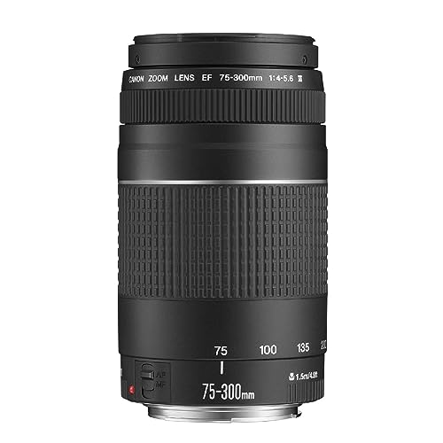 Canon Teleobiettivo Zoom, EF 75-300 mm f/4-5.6 III [Versione EU] - Immagine 3