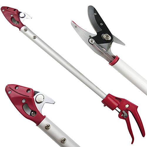 Great Deal! Mesoga 2 Feet Cut and Hold Tree Pruner, Rotation Pole Tree Trimming, Short Reach Fruit Picker, Branches Bypass Lopper