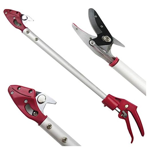 Mesoga 2 Feet Cut and Hold Tree Pruner, Rotation Pole Tree Trimming, Short Reach Fruit Picker, Branches Bypass Lopper
