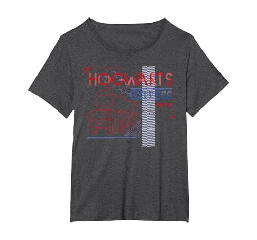 Image of Harry Potter Hogwarts Express T-Shirt, Women's Plus, Dark Heather Grey, 2X