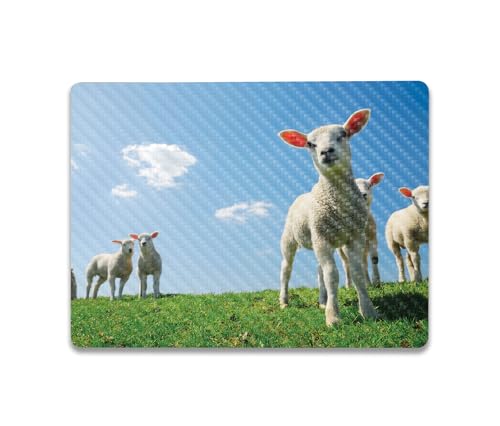 Image of MightySkins Carbon Fiber Skin Compatible with Microsoft Surface Laptop Go 3 (2023) Full Wrap Kit - Lambs | Protective, Durable Textured Carbon Fiber Finish | Made in The USA