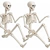 Photo 1 of
HBSTK 2 Pack 36" Halloween Skeleton, Full Body Life Size Posable Skeletons with Movable Joints, Realistic Plastic Human Bones Anatomy Model for Halloween Decorations Outdoor Yard Décor
Brand: HBSTK
4.5 4.5 out of 5 stars (261)
500+ bought in past month