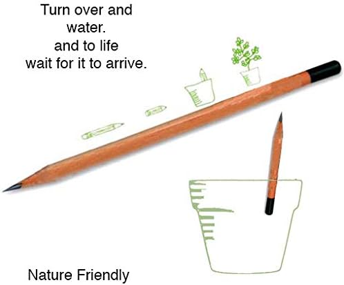 Living Pencil - Pencil - Sharpened Seed Pencil - Wooden Pencils - School Pencil - Lead Pencil - Classroom Supplies