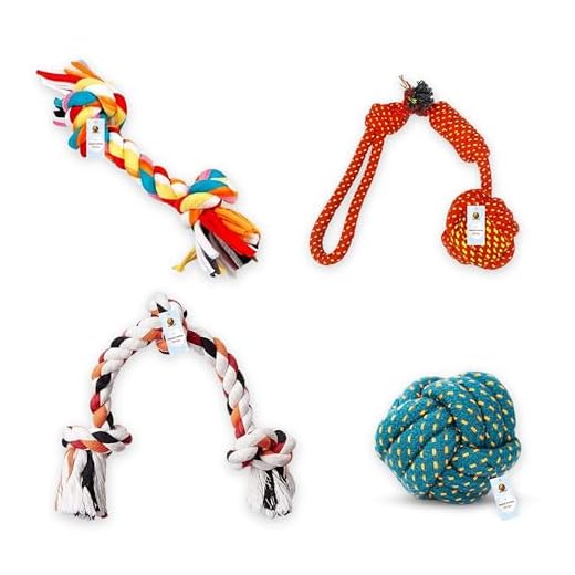 Foodie Puppies Dog Rope Combo of 4 Chewing Teething Fetching Durable Toys for Puppies and Small to Medium Size Dogs (2Knot + 3Knot + Ball + 2knotBall) (Color May Vary)