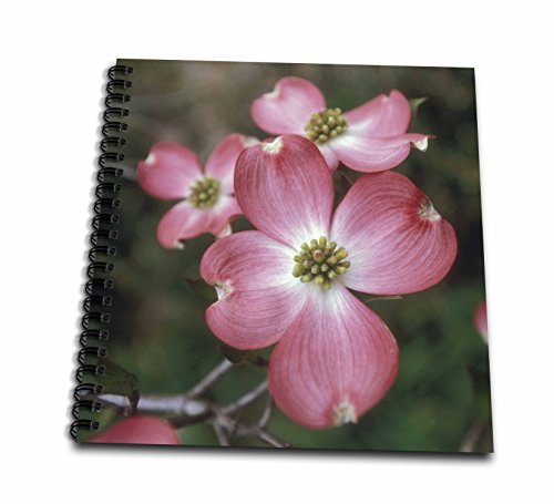 Livre de dessin Rose Cornouiller 3drose multicolore format compact 8x20,3 cm - 3
