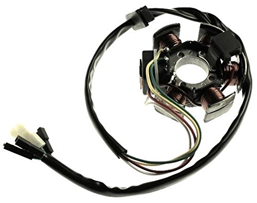 Anker alternateur minarelli aM6 RS/RX-sX, gilera 50 GSM derbi Senda et