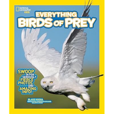 Everything Birds of Prey: Swoop in for Seriously Fierce Photos and Amazing Info