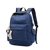 Gepäck Männer Und Frauen Rucksäcke Freizeit Reisen USB Lade Student Rucksack Nylon Schultasche Blau 30 * 15 * 45Cm