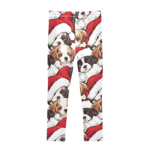 Dogs in The Hat Girls Leggings,Workout Leggings for Girls Toddler Athletic Leggings Size for 3-10T2