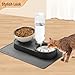 Marchul 2-in-1 Dog Bowl, Elevated Cat Food and Water Bowl with No-Spill Mat, 15° Tilt Stainless Steel Dish + 500ml Leak-Proof Bottle, Easy Clean Design (Dry/Wet Food & Water)