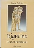  Rigutino, l\'antica Bricianum. Il territorio rigutinese ed i suoi abitanti dalla preistoria ad oggi