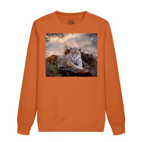 Sweat enfant jaguar idéal pour l'école et les sorties en plein air