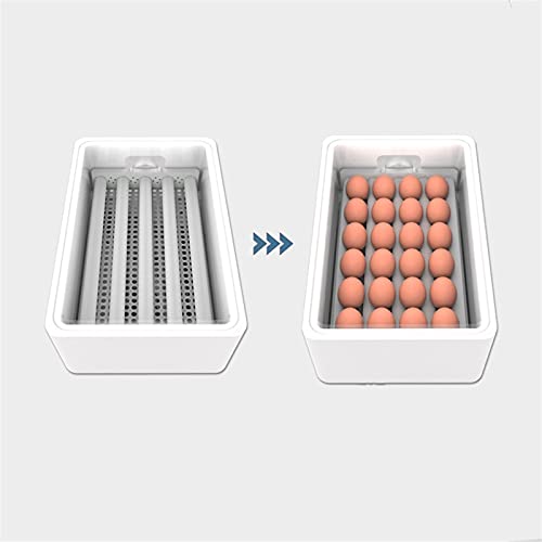 Yaweda Eggs Incubator For Temperature And Humidity Control Egg Brooder Hatcher With Automatic Egg Turning Led Candler For Chickens Quail And Birds (Size : 12 Eggs, Types : Dual Power Supply) #TOP3