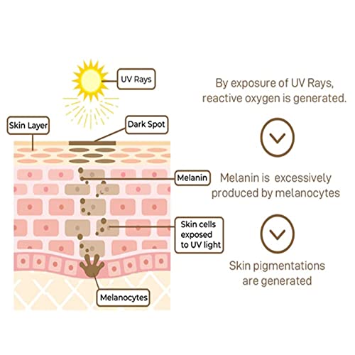 Lypocs Gfouk Anti-Pigment Probiotic Spf 50 Day Care Cream,Anti-Pigment Face Day Cream,Dark Spot Corrector Daily Face Serum, Dark Spot Remover For All Skin Types-50Ml (2Pcs) #TOP3