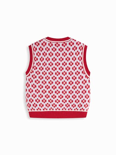 Image of CIDER Sweater Vest Women Sleeveless Cropped Sweaters Cute Graphic Tank Tops Old Money Clothes Fall Outfits