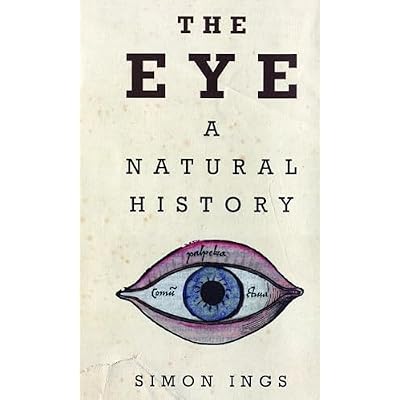 The Eye
