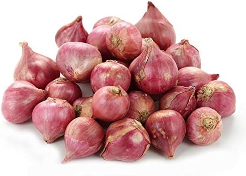 Shallot Small onion seed (pack of 50 seed)
