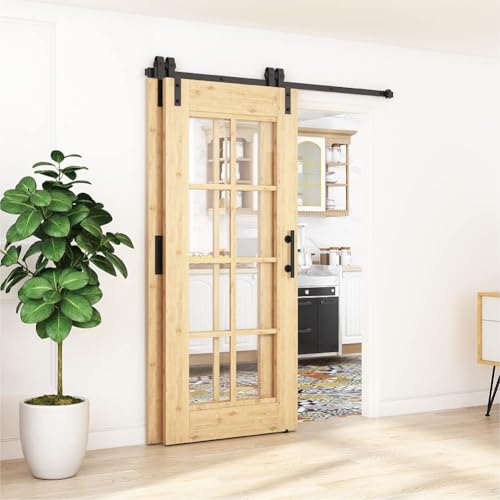 WINSOON 150CM/5FT Schiebetür Komplettset Bypass Doppeltür Schiebetürschiene Schiebetür, Schwarz Schiebetürbeschlag für Doppeltür 76 cm, Keine Tür