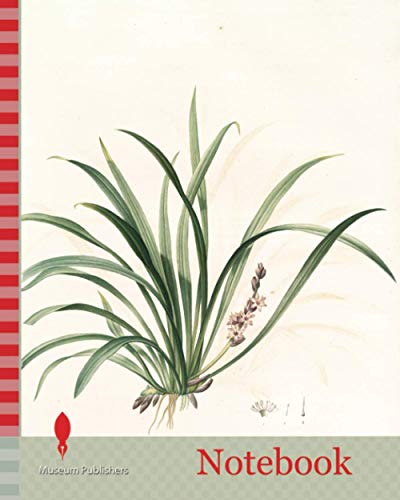 Notebook: Sansevieria carnea, Reineckia carnea, Redouté, Pierre Joseph, 1759-1840, les liliacees, 1802 - 1816