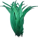 Sowder Rooster Coque Tail Feathers 14-16inch(35-40cm) for Costume DIY Crafting Home Wedding Decoration Tying Feather Party Performances Pack of 20 (Dark Green)