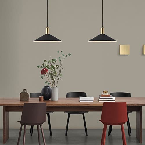 Suspension industrielle vintage avec abat-jour noir et lustre E27