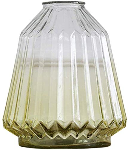 Arrangeur de fleurs MU style américain en verre net