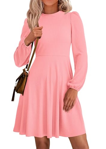 Image of PRETTYGARDEN Womens Long Sleeve Mini Dress 2026 Fall Trendy Crewneck Ribbed Knit Soft A Line Flowy Summer Formal Dresses