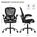 Office Chair 330 lbs Capacity, Ergonomic Breathable Mesh Desk Chair with Lumbar Support & Flip-Up Armrest, High Back Computer Chair for Home Office, Black