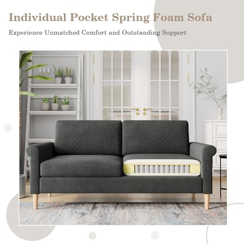 Vesgantti Sofa 2 Sitzer, 164cm Modernes 2er Sofa mit beidseitigen Taschen, Stoff couch mit 2 Kissen und Sitzkissen, Doppelsofa für Wohnzimmer, Schlafzimmer, Büro, Montage ohne Werkzeug 164L*76D*85H cm