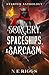 Sorcery, Spaceships, & Sarcasm