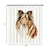 Ganshan Bi Funny Shetland Sheepdog Dog Portrait Shower Curtain Watercolor Animal Pet Puppy Print Bath Curtains for Bathroom Home Decoration with 12 Hooks 66x72 Inch