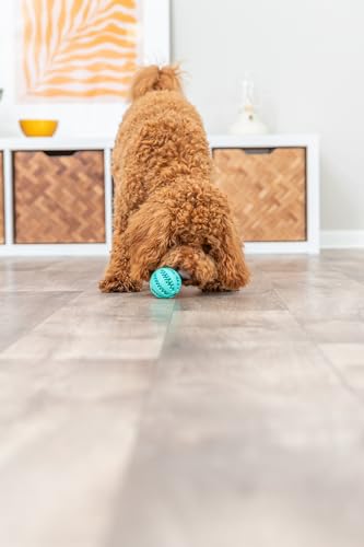 TX-32880 Mintfresh Baseball, Natural Rubber o 6 cm