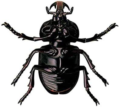 Anatomisches Modelltier, Hirschkäferorgan, Anatomisches Modell - Didaktisches Modell für biologische Insekten in 21 Teilen