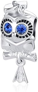 Luluadorn Owl Graduate Blue CZ Charm for Bracelets Necklace Pendant Silver Dangle Animal Graduation Cap Certificate Gift for Sister Women Friends Girls Family Daughter Birthday Christmas