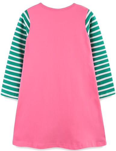 Bumeex Girl's Long Sleeve Dresses Cotton Christmas Cute Embroidery Applique Swing A-Line Casual Tunic Playwear 2-13 Years2